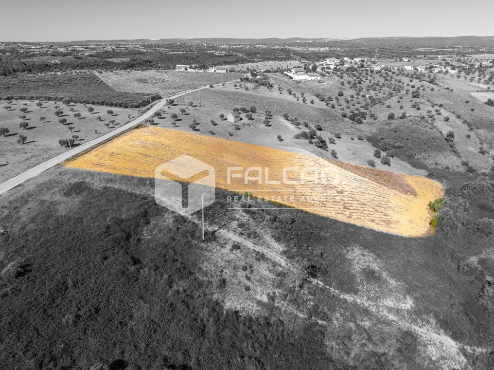 Terreno Agricola ou Rústico para Venda em Achete, Azoia de Baixo e Póvoa de Santarém Foto 19