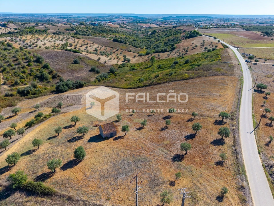 Terreno Agricola ou Rústico para Venda em Achete, Azoia de Baixo e Póvoa de Santarém Foto 7
