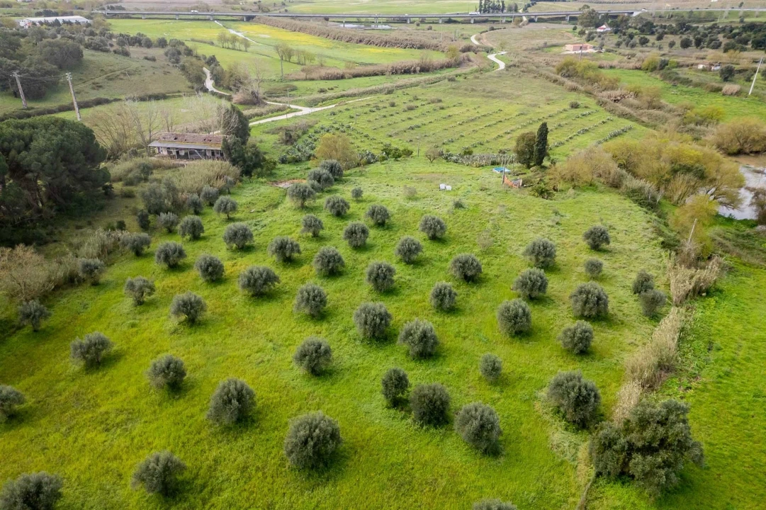 Terreno para Venda em Marvila, Ribeira Santarém, São Salvador, São Nicolau Foto 8