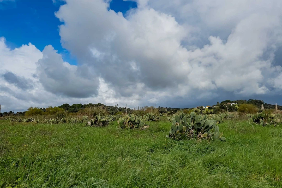 Terreno para Venda em Marvila, Ribeira Santarém, São Salvador, São Nicolau Foto 40