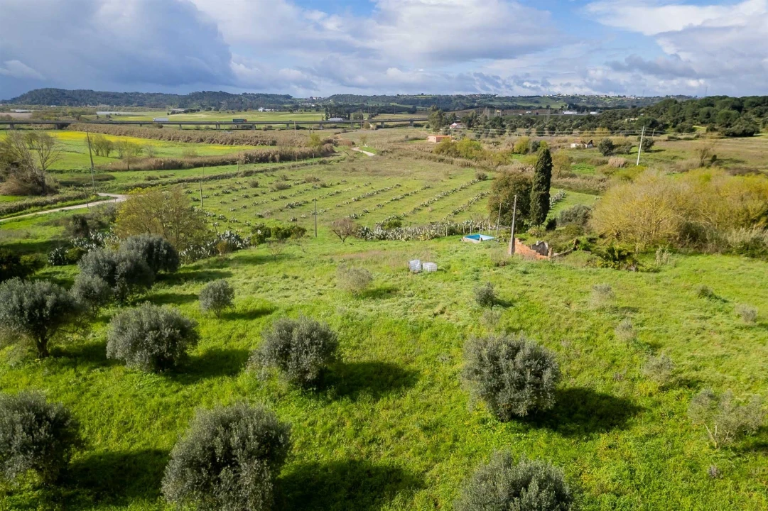 Terreno para Venda em Marvila, Ribeira Santarém, São Salvador, São Nicolau Foto 30