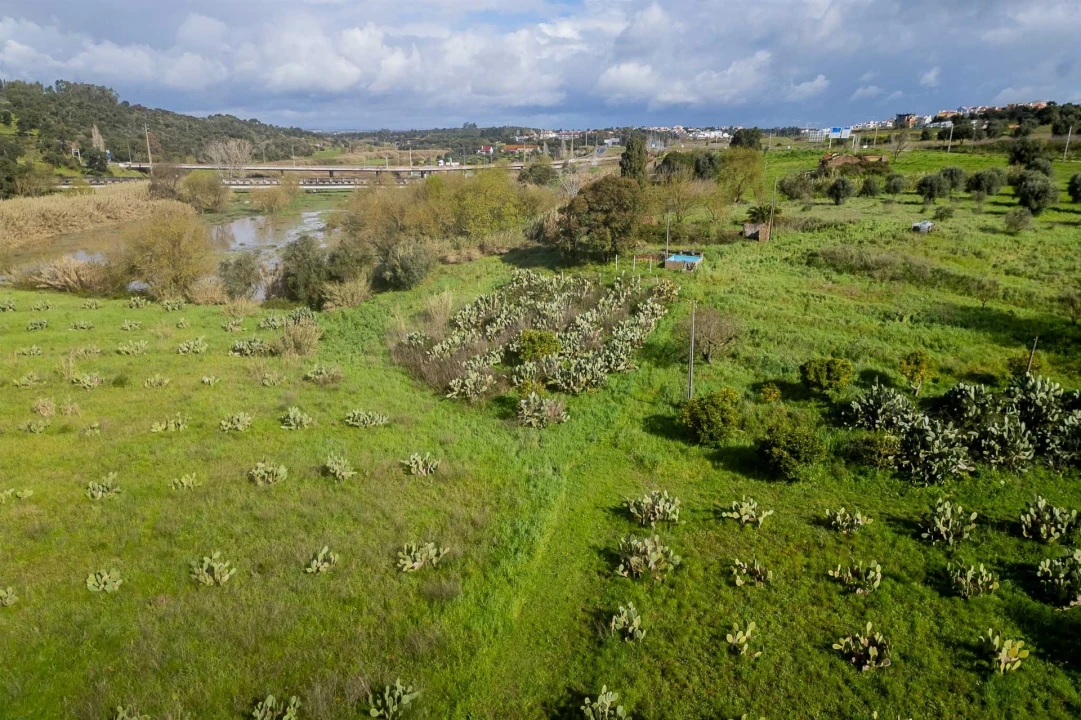 Terreno para Venda em Marvila, Ribeira Santarém, São Salvador, São Nicolau Foto 21