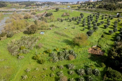 Terreno para Venda em Marvila, Ribeira Santarém, São Salvador, São Nicolau