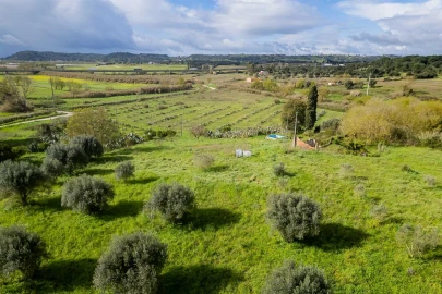 Terreno para Venda em Marvila, Ribeira Santarém, São Salvador, São Nicolau