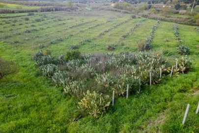 Terreno para Venda em Marvila, Ribeira Santarém, São Salvador, São Nicolau