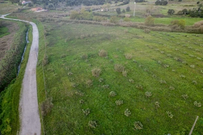 Terreno para Venda em Marvila, Ribeira Santarém, São Salvador, São Nicolau