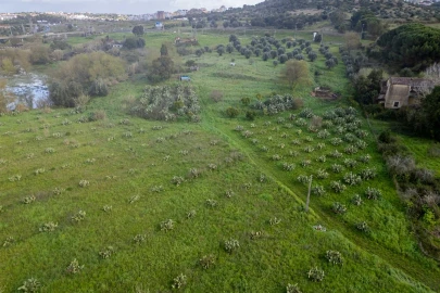 Terreno para Venda em Marvila, Ribeira Santarém, São Salvador, São Nicolau