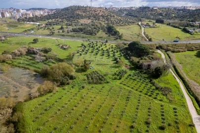 Terreno para Venda em Marvila, Ribeira Santarém, São Salvador, São Nicolau