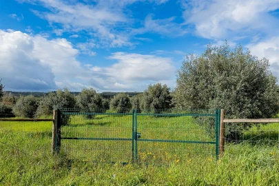 Terreno para Venda em Marvila, Ribeira Santarém, São Salvador, São Nicolau
