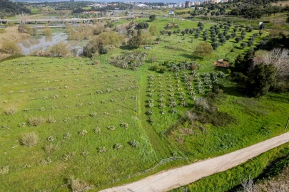 Terreno para Venda em Marvila, Ribeira Santarém, São Salvador, São Nicolau