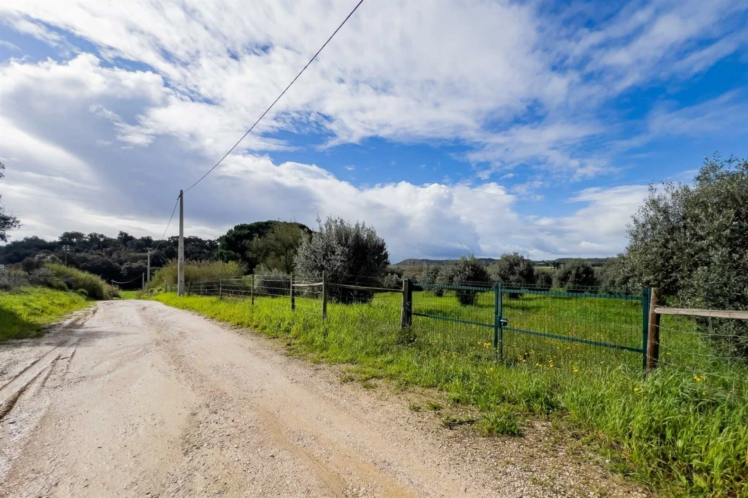 Terreno para Venda em Marvila, Ribeira Santarém, São Salvador, São Nicolau Foto 33