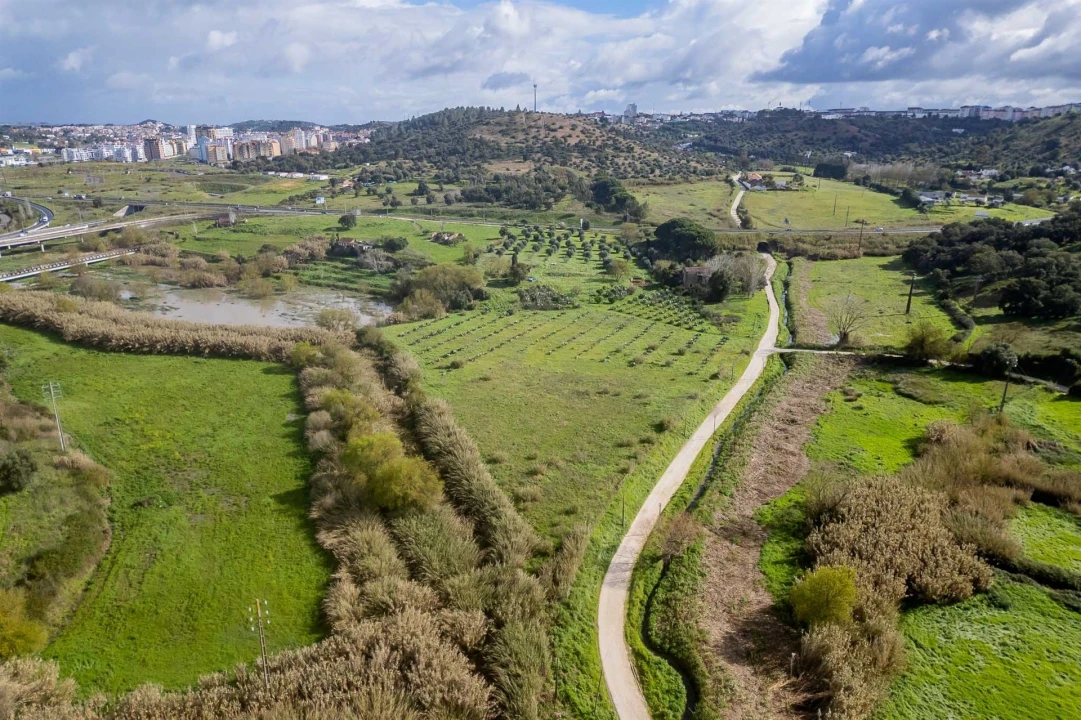 Terreno para Venda em Marvila, Ribeira Santarém, São Salvador, São Nicolau Foto 24