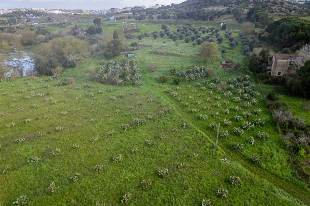 Terreno para Venda em Marvila, Ribeira Santarém, São Salvador, São Nicolau Foto 18