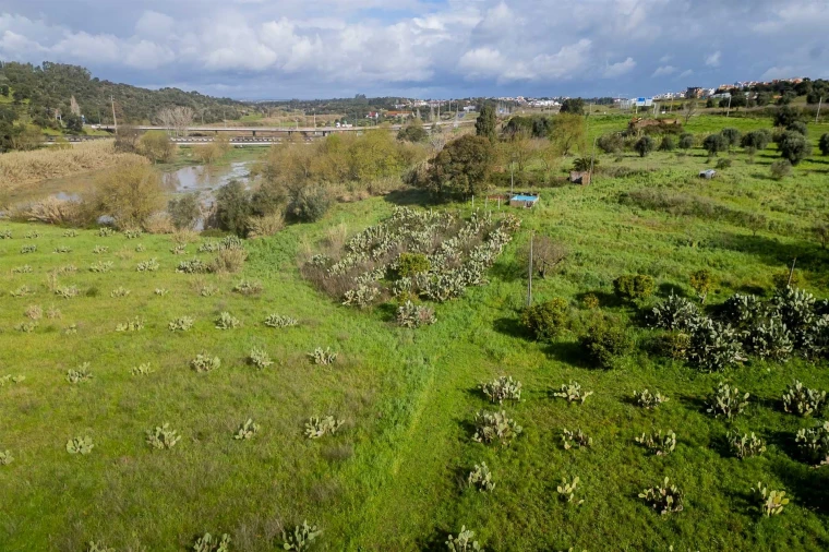 Terreno para Venda em Marvila, Ribeira Santarém, São Salvador, São Nicolau Foto 21