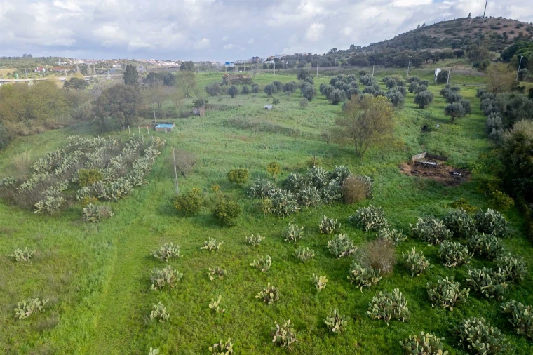 Terreno para Venda em Marvila, Ribeira Santarém, São Salvador, São Nicolau Foto 20