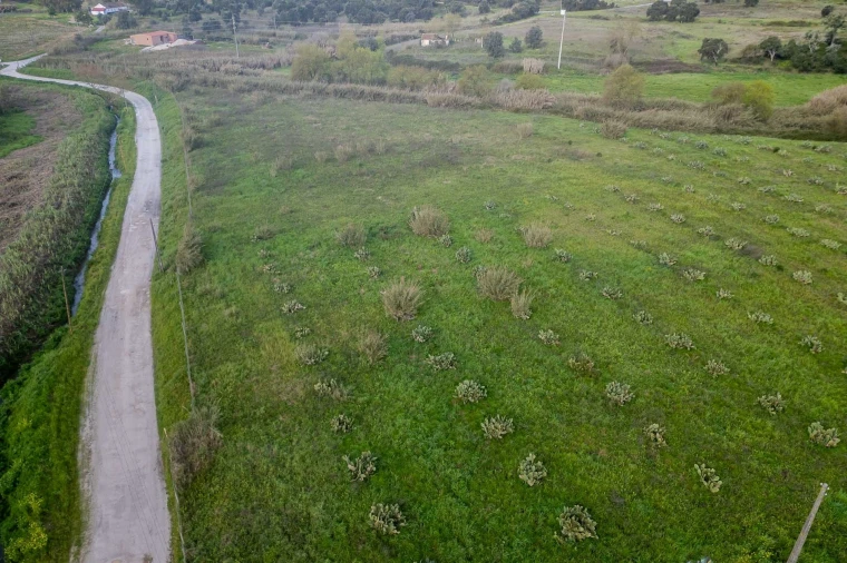 Terreno para Venda em Marvila, Ribeira Santarém, São Salvador, São Nicolau Foto 17