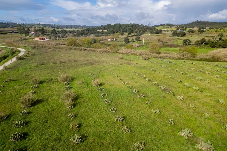 Terreno para Venda em Marvila, Ribeira Santarém, São Salvador, São Nicolau Foto 22