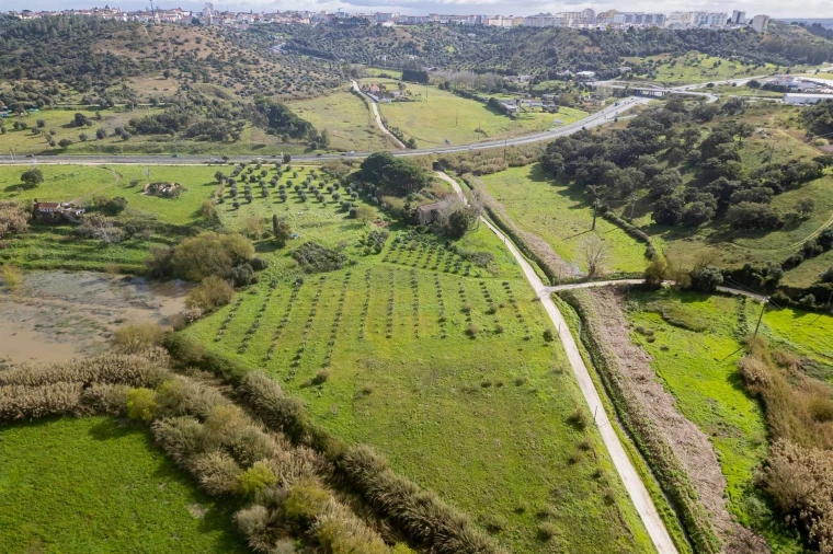 Terreno para Venda em Marvila, Ribeira Santarém, São Salvador, São Nicolau Foto 25