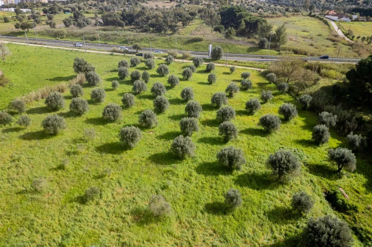 Terreno para Venda em Marvila, Ribeira Santarém, São Salvador, São Nicolau Foto 29