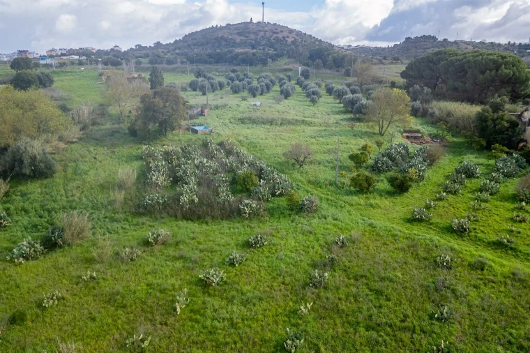 Terreno para Venda em Marvila, Ribeira Santarém, São Salvador, São Nicolau Foto 19