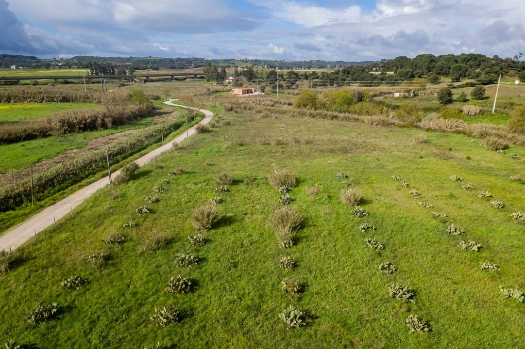 Terreno para Venda em Marvila, Ribeira Santarém, São Salvador, São Nicolau Foto 23