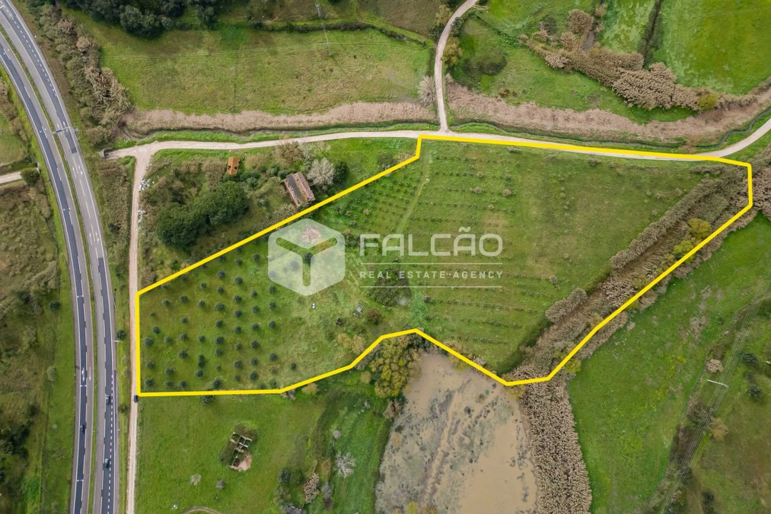 Terreno para Venda em Marvila, Ribeira Santarém, São Salvador, São Nicolau Foto 1