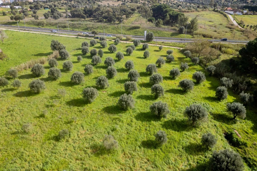 Terreno para Venda em Marvila, Ribeira Santarém, São Salvador, São Nicolau Foto 29