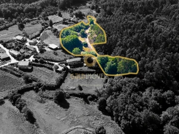 Quinta T4 para Venda em Vila Boa do Bispo