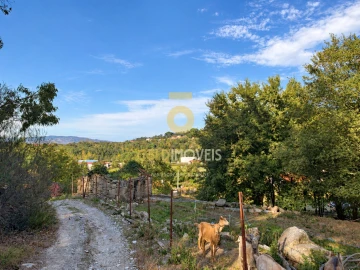 Quinta T4 para Venda em Vila Boa do Bispo