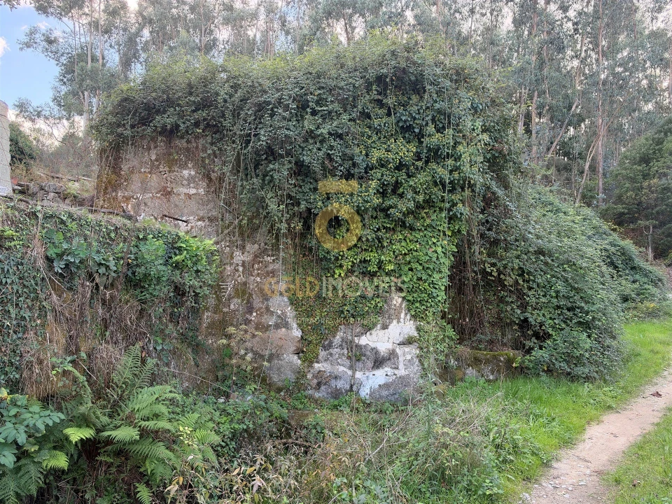 Quinta T4 para Venda em Vila Boa do Bispo Foto 4