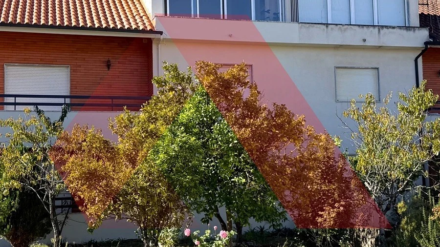 Apartamento T3 para Arrendamento em Arganil