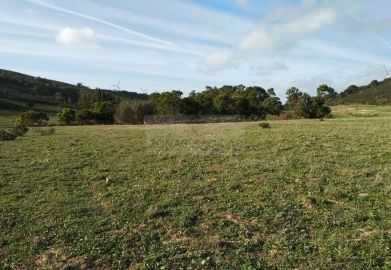 Terreno para Venda em Barão de São Miguel
