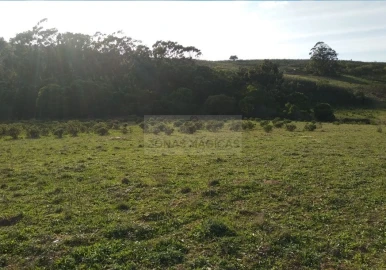 Terreno para Venda em Barão de São Miguel