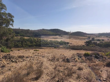 Terreno para Venda em Barão de São Miguel