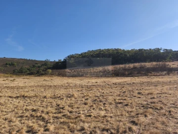 Terreno para Venda em Barão de São Miguel