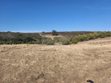 Terreno para Venda em Barão de São Miguel