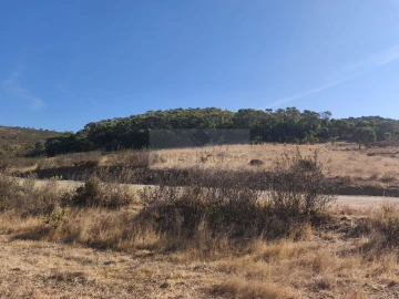 Terreno para Venda em Barão de São Miguel