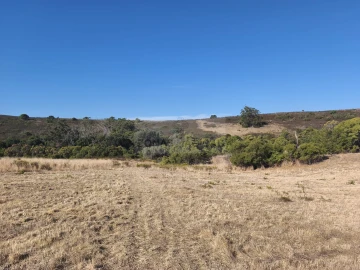 Terreno para Venda em Barão de São Miguel