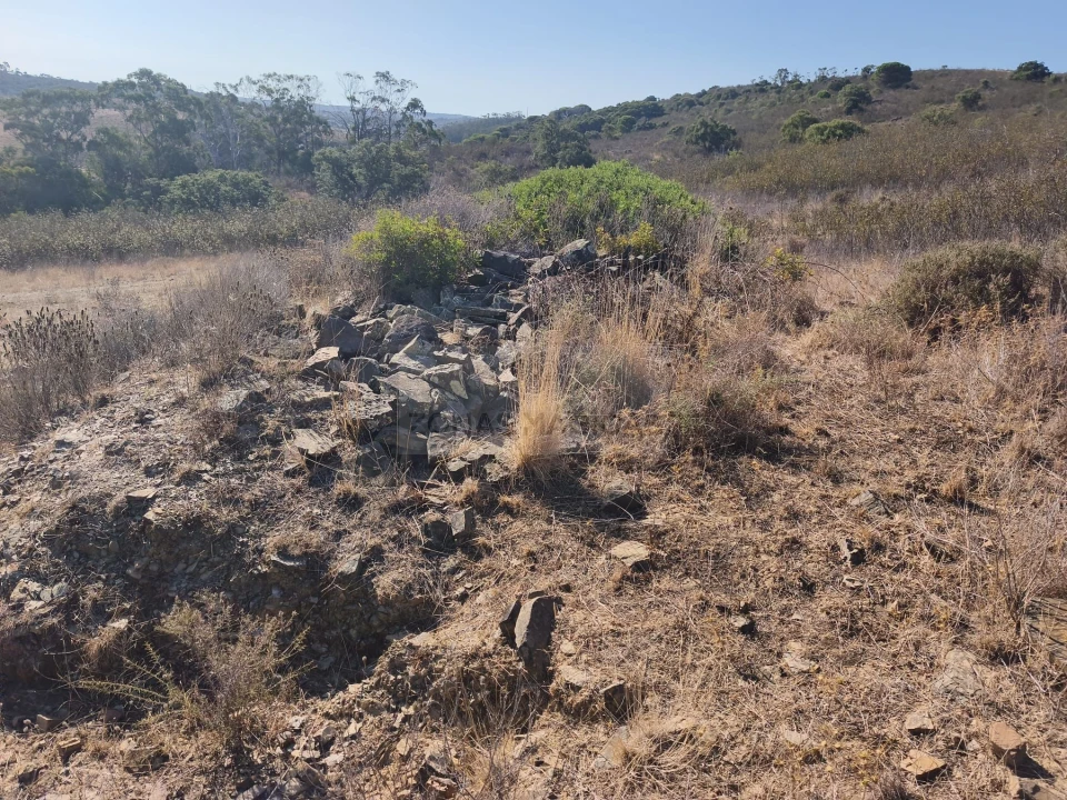 Terreno para Venda em Barão de São Miguel Foto 11