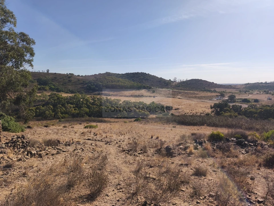 Terreno para Venda em Barão de São Miguel Foto 5