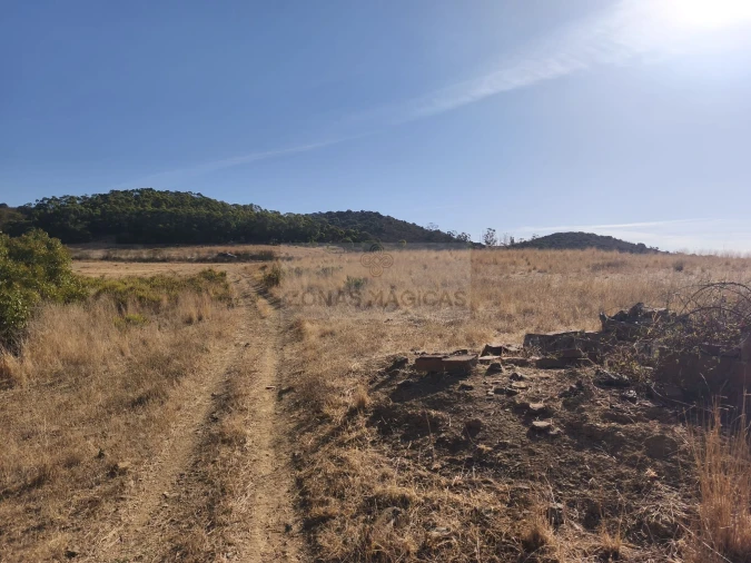 Terreno para Venda em Barão de São Miguel Foto 16