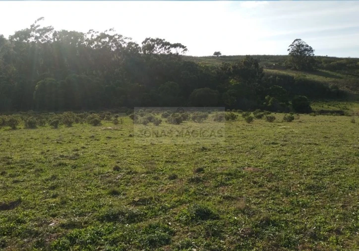 Terreno para Venda em Barão de São Miguel Foto 7