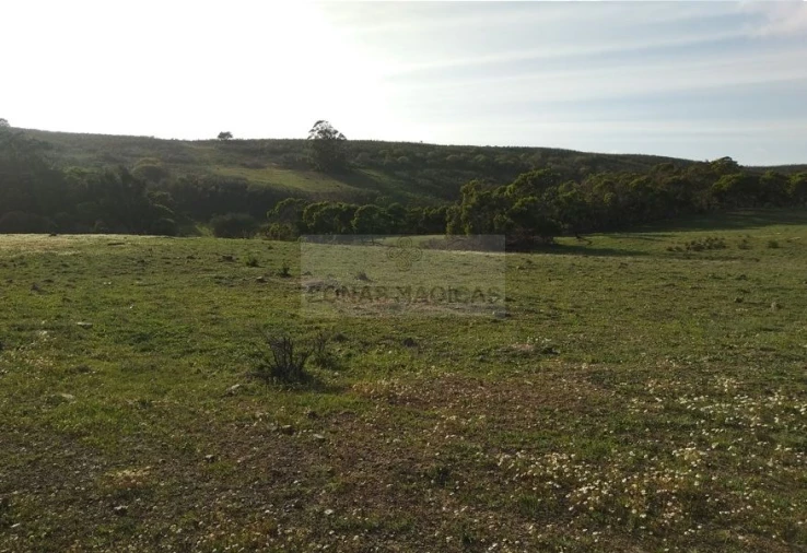 Terreno para Venda em Barão de São Miguel Foto 2