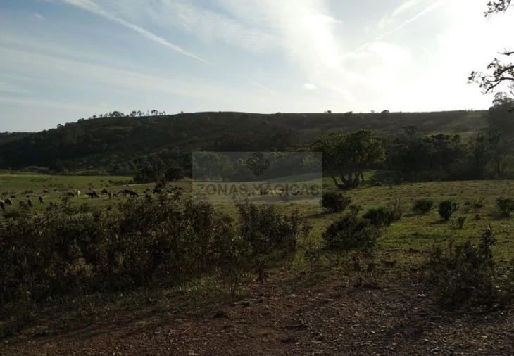 Terreno para Venda em Barão de São Miguel Foto 6