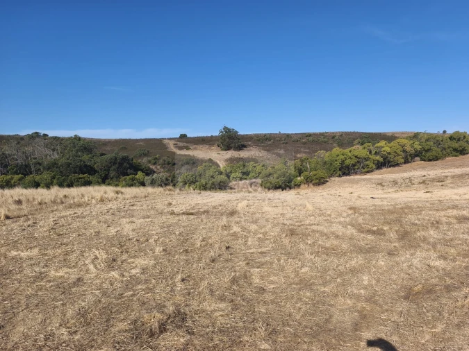 Terreno para Venda em Barão de São Miguel Foto 22