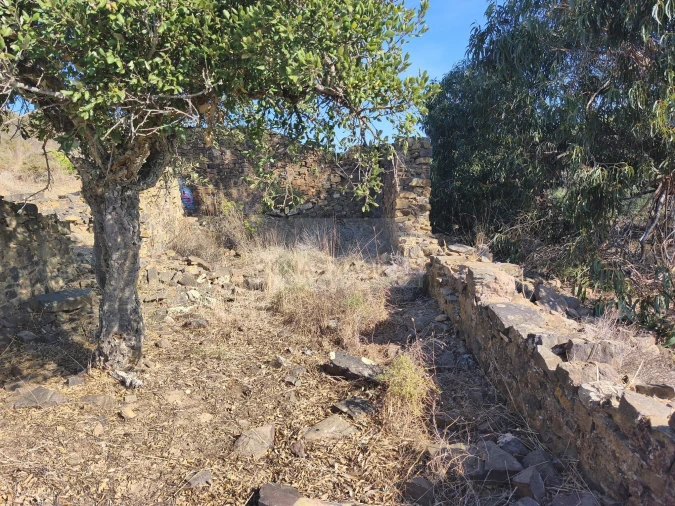 Terreno para Venda em Barão de São Miguel Foto 12