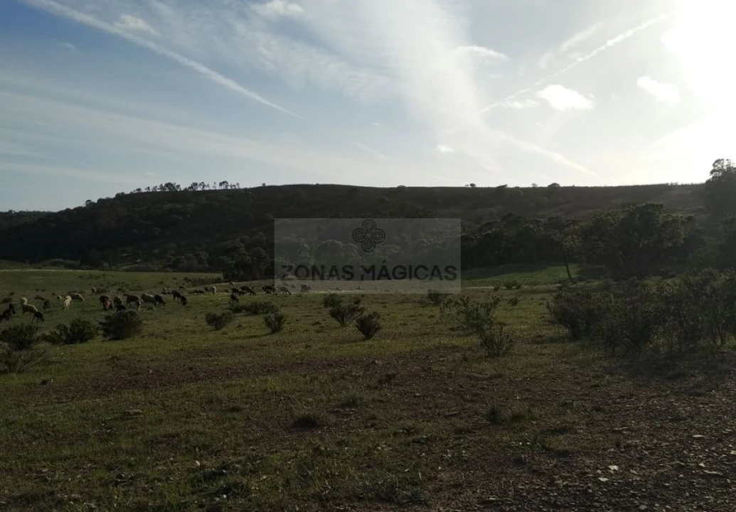 Terreno para Venda em Barão de São Miguel Foto 4