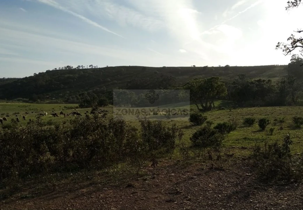 Terreno para Venda em Barão de São Miguel Foto 6