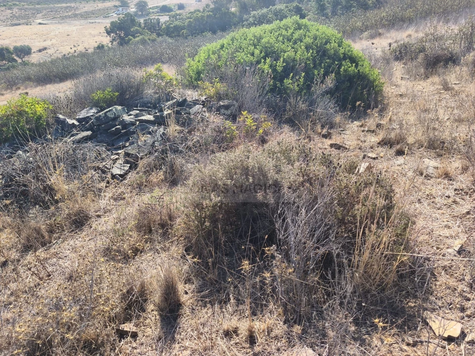 Terreno para Venda em Barão de São Miguel Foto 15