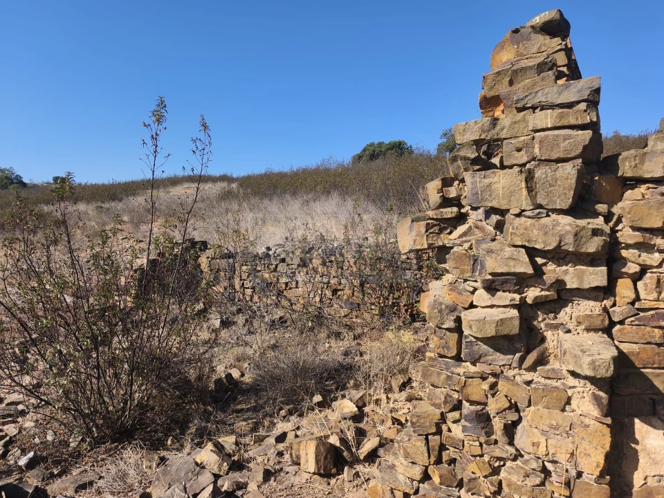 Terreno para Venda em Barão de São Miguel Foto 14